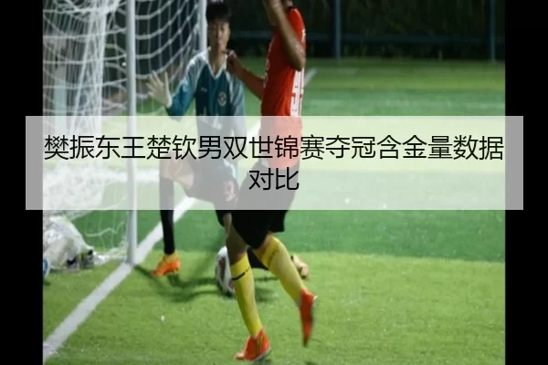 fan-zhen-dong-wang-chu-qin-nan-shuang-shi-jin-sai-duo-guan-han-jin-liang-shu-ju-dui-bi-2-936.jpg