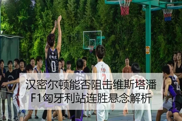 汉密尔顿能否阻击维斯塔潘 F1匈牙利站连胜悬念解析