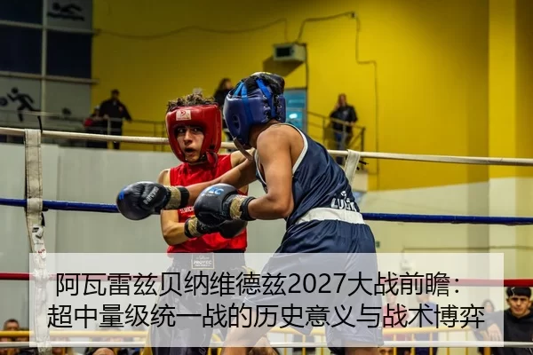 a-wa-lei-zi-bei-na-wei-de-zi-da-zhan-qian-zhan-chao-zhong-liang-ji-tong-yi-zhan-de-li-shi-yi-yi-yu-zhan-shu-bo-yi-2-116.jpg